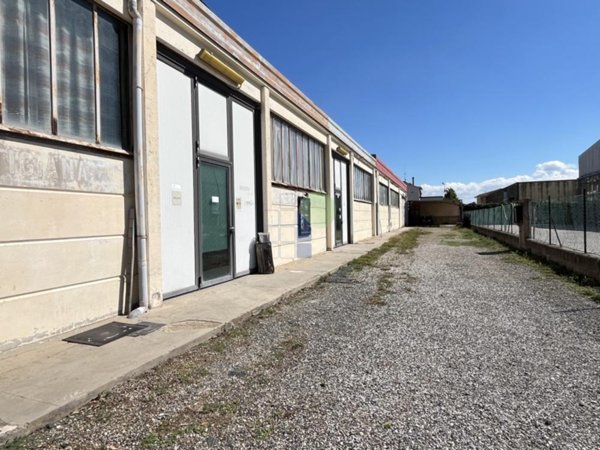 negozio in vendita a Rosignano Marittimo