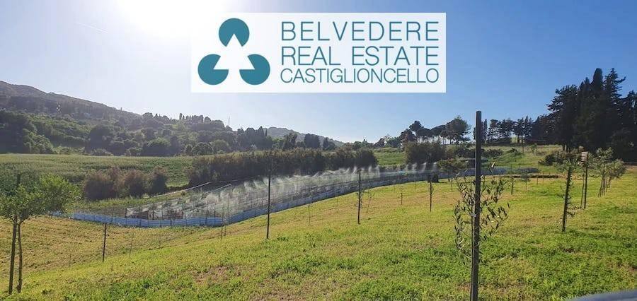terreno agricolo in vendita a Rosignano Marittimo