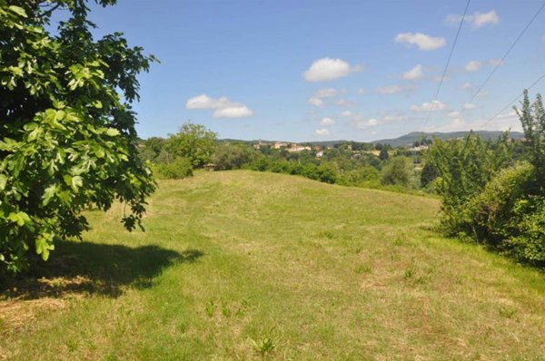 terreno agricolo in vendita a Rosignano Marittimo