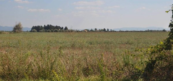 terreno agricolo in vendita a Rosignano Marittimo in zona Vada
