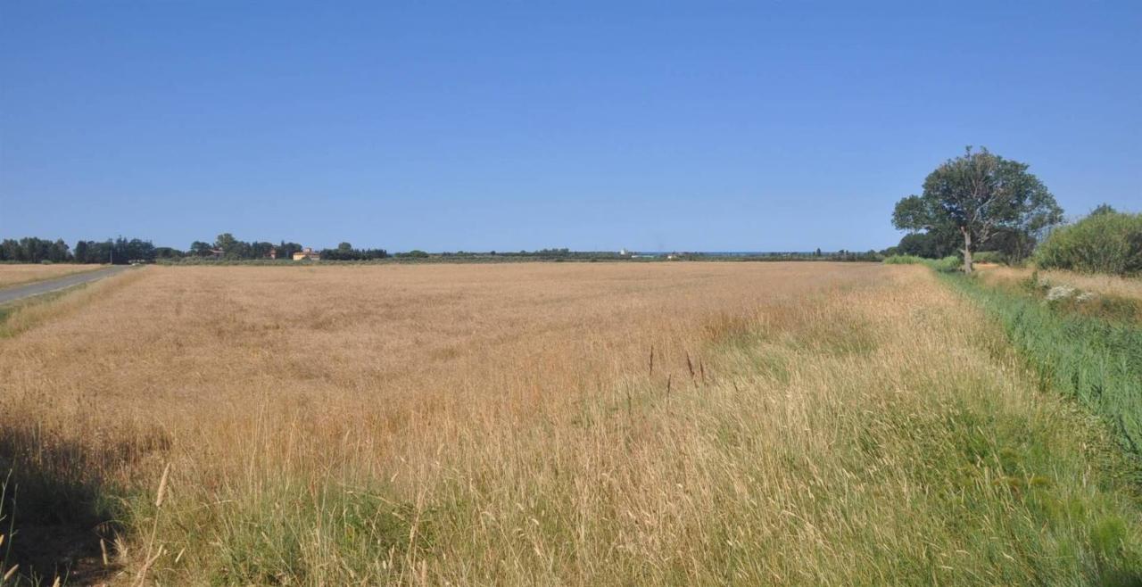 terreno agricolo in vendita a Rosignano Marittimo in zona Vada