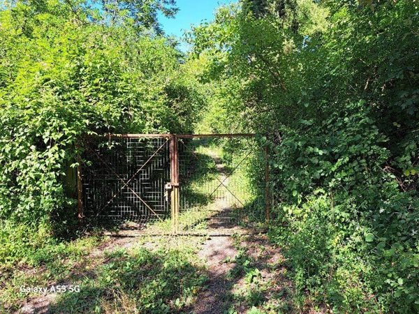 terreno agricolo in vendita a Rosignano Marittimo