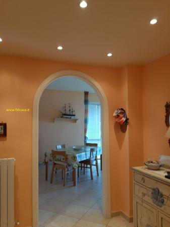 appartamento in vendita a Rosignano Marittimo