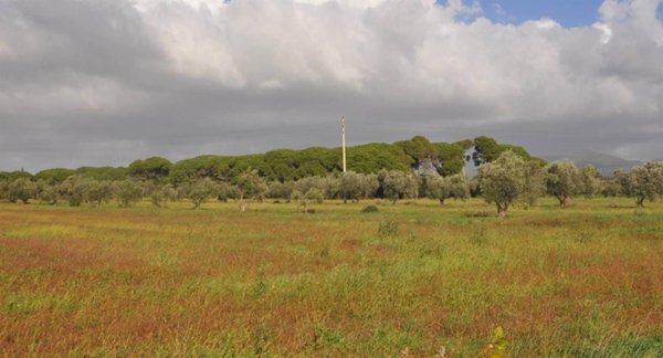 casa indipendente in vendita a Rosignano Marittimo