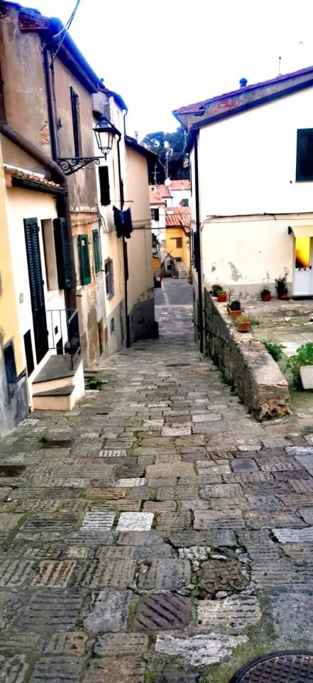 appartamento in vendita a Rosignano Marittimo