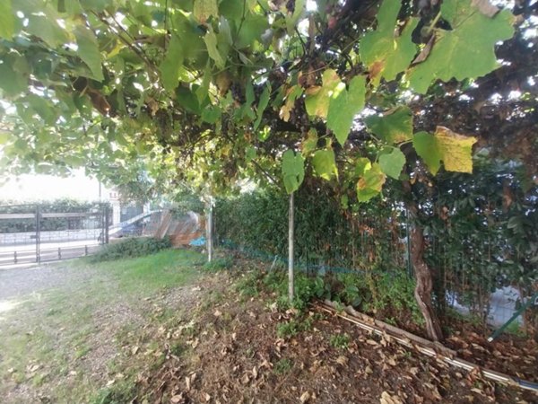 appartamento in vendita a Rosignano Marittimo in zona Vada