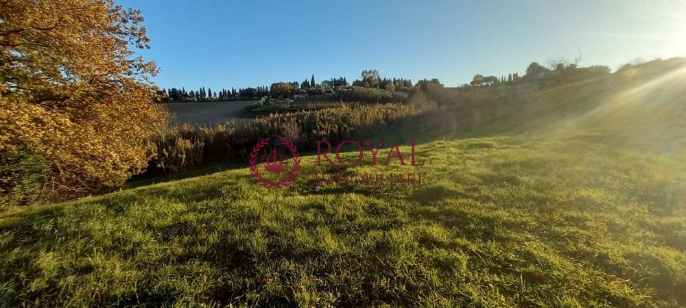 terreno agricolo a Rosignano Marittimo in zona Castelnuovo della Misericordia