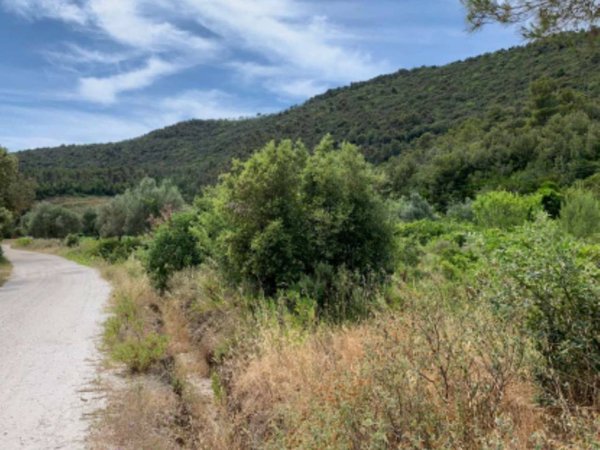 terreno agricolo in vendita a Rosignano Marittimo in zona Vada
