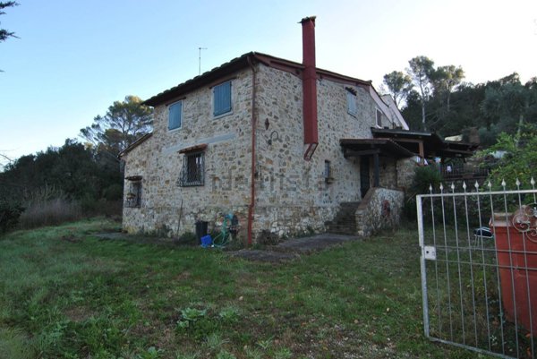 esavano in vendita a Rosignano Marittimo in zona Gabbro