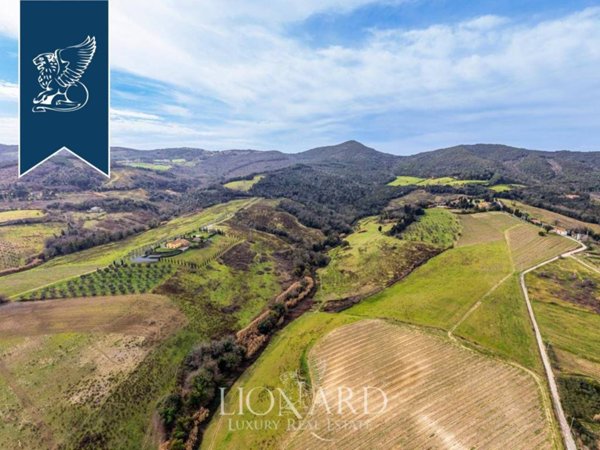 negozio in vendita a Rosignano Marittimo in zona Gabbro