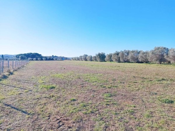 terreno agricolo in vendita a Rosignano Marittimo in zona Rosignano Solvay