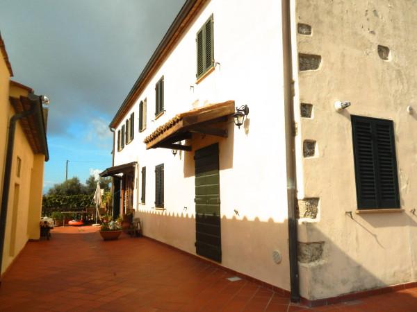 appartamento in vendita a Rosignano Marittimo