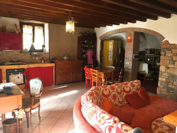 appartamento in vendita a Rosignano Marittimo