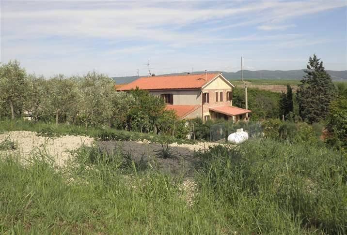 appartamento in vendita a Rosignano Marittimo