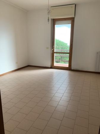 appartamento in vendita a Rosignano Marittimo