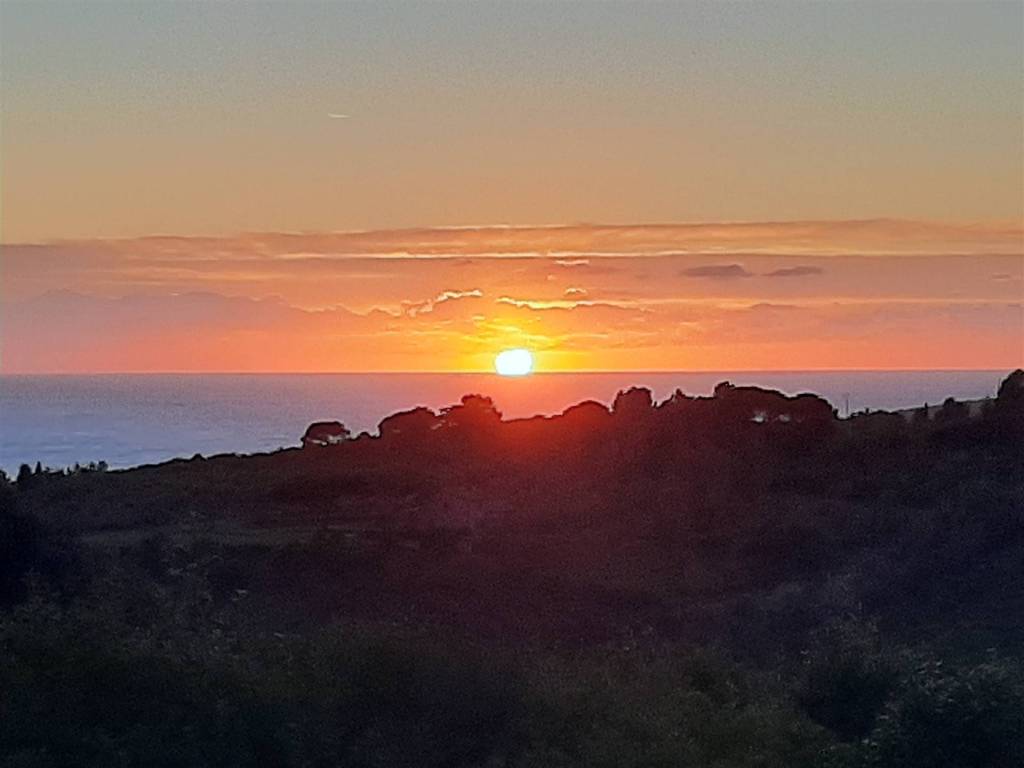 terreno agricolo in vendita a Rosignano Marittimo