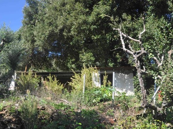 terreno agricolo in vendita a Rosignano Marittimo in zona Gabbro