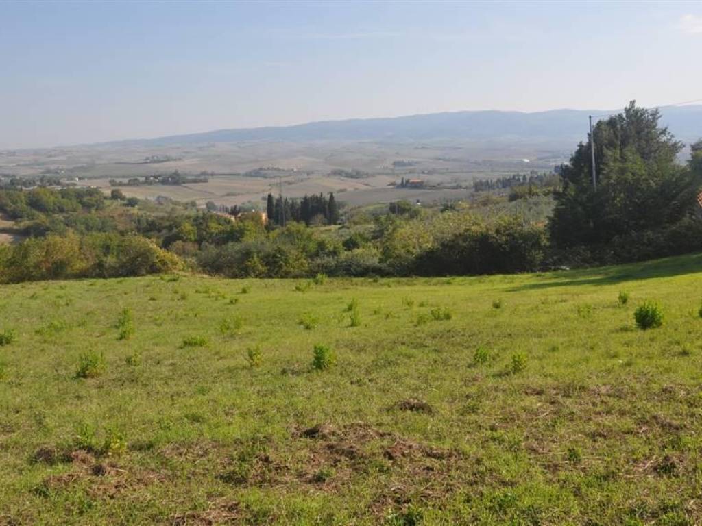terreno agricolo in vendita a Rosignano Marittimo