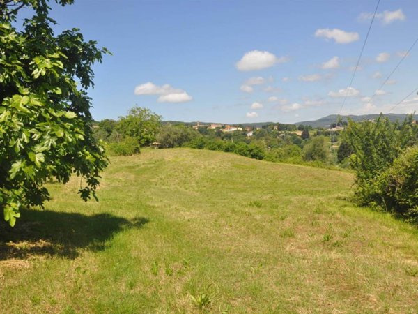 terreno agricolo in vendita a Rosignano Marittimo in zona Gabbro