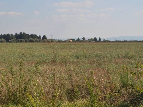 terreno agricolo in vendita a Rosignano Marittimo in zona Vada