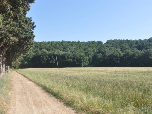terreno agricolo in vendita a Rosignano Marittimo in zona Rosignano Solvay