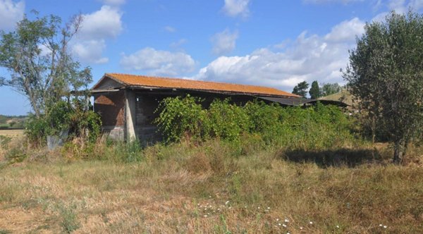 casale in vendita a Rosignano Marittimo