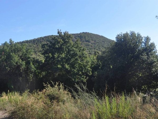 terreno agricolo in vendita a Rosignano Marittimo in zona Gabbro