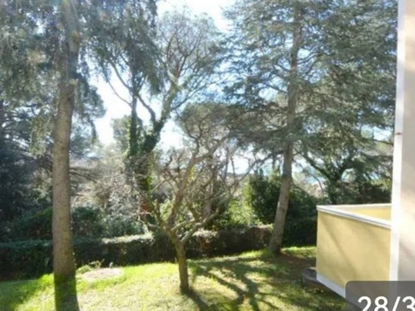 appartamento in vendita a Rosignano Marittimo in zona Castiglioncello