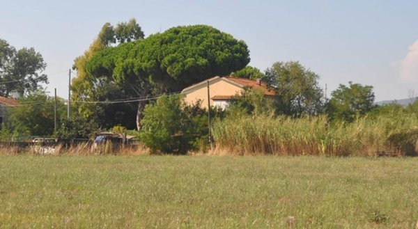 casa indipendente in vendita a Rosignano Marittimo in zona Vada