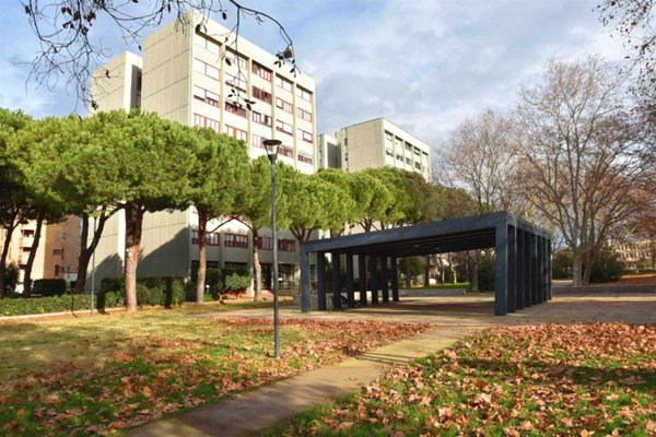 appartamento in vendita a Rosignano Marittimo in zona Rosignano Solvay