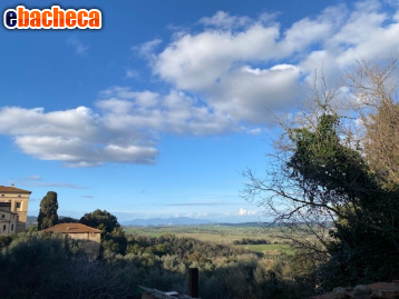 appartamento a Rosignano Marittimo in zona Castelnuovo della Misericordia