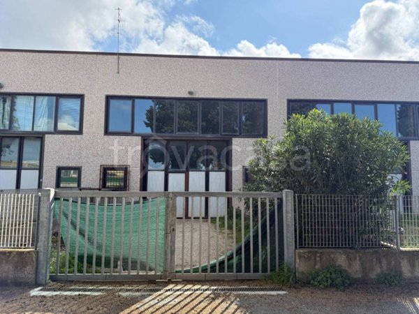 appartamento in vendita a Rosignano Marittimo in zona Rosignano Solvay