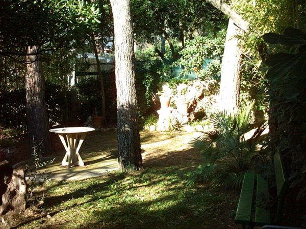 appartamento in vendita a Rosignano Marittimo in zona Castiglioncello