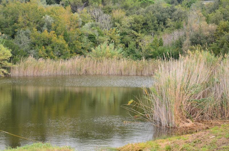 rudere in vendita a Rosignano Marittimo in zona Rosignano Solvay