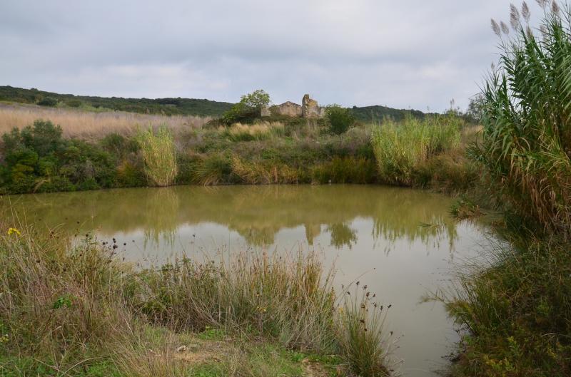 rudere in vendita a Rosignano Marittimo in zona Castiglioncello