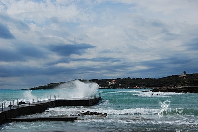 immagine annuncio 0 di 6