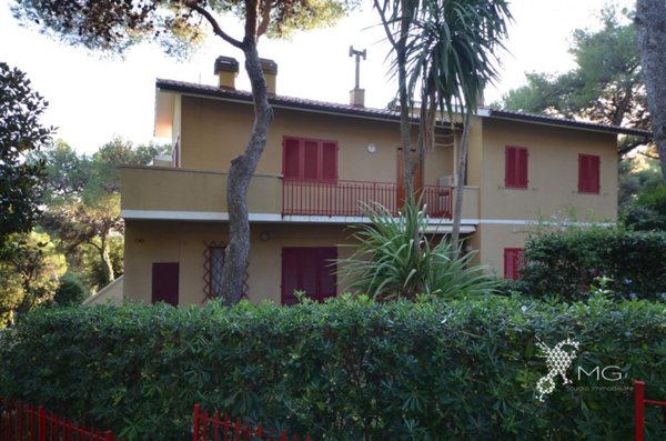 appartamento in vendita a Rosignano Marittimo in zona Castiglioncello
