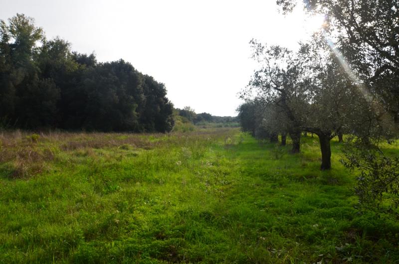 immagine annuncio 0 di 3