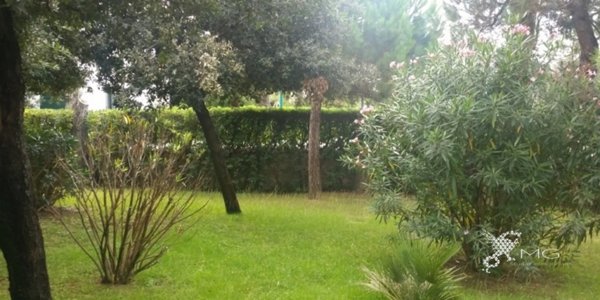 appartamento in vendita a Rosignano Marittimo in zona Castiglioncello