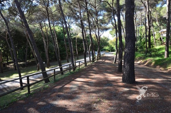 appartamento in vendita a Rosignano Marittimo in zona Castiglioncello