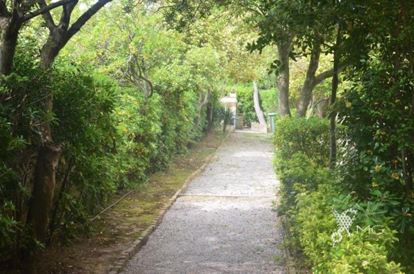 appartamento in vendita a Rosignano Marittimo in zona Castiglioncello
