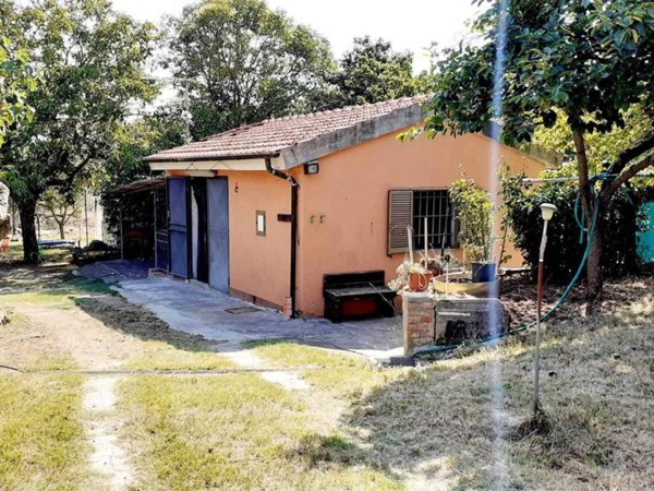 terreno agricolo in vendita a Rosignano Marittimo