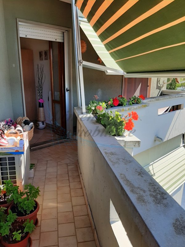 appartamento in vendita a Rosignano Marittimo in zona Vada