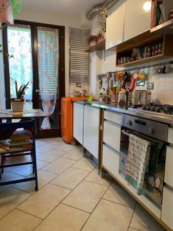 appartamento in vendita a Rosignano Marittimo