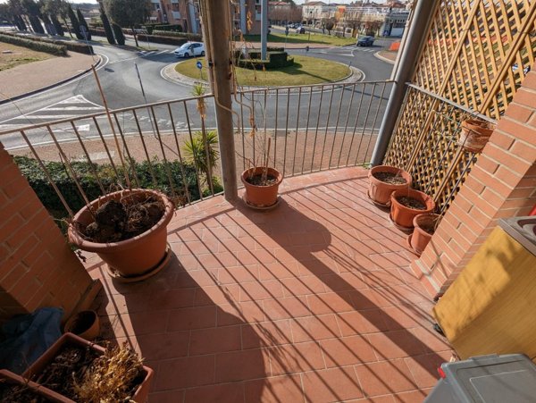 appartamento in vendita a Rosignano Marittimo in zona Vada