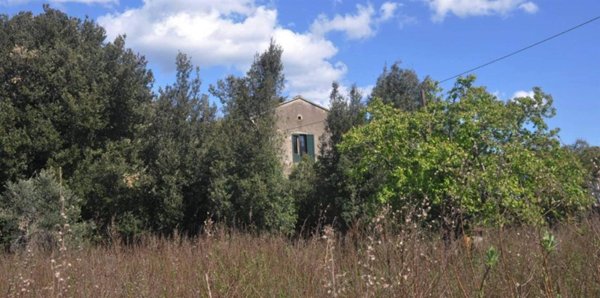 casa indipendente in vendita a Rosignano Marittimo in zona Vada