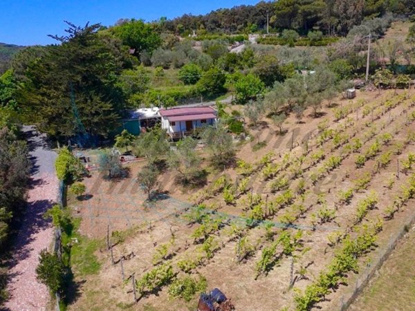 casa indipendente a Rosignano Marittimo in zona Castelnuovo della Misericordia