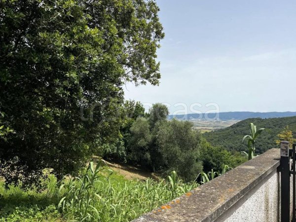 casa indipendente in vendita a Rosignano Marittimo in zona Nibbiaia