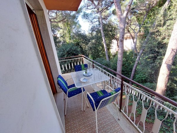 appartamento in vendita a Rosignano Marittimo
