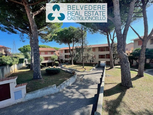 appartamento in vendita a Rosignano Marittimo